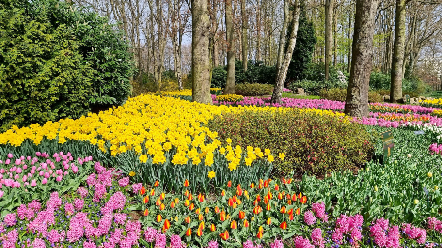 keukenhof