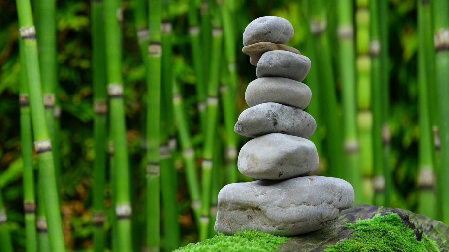 pixabay wellness-